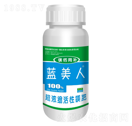 �{(l��n)����-ʢ������