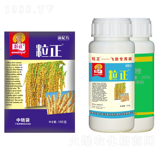 ��������(j��)�b-ʢ������