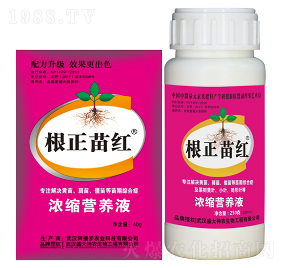 ������t-ʢ������