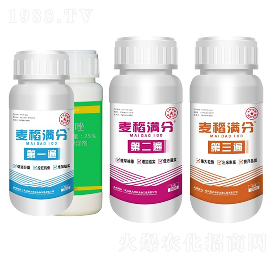 �����M���ײ�ƿ�b-ʢ������