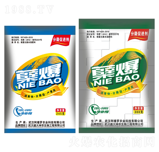 �Y��-ʢ������