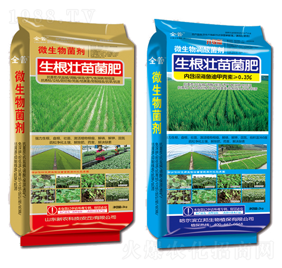 ΢�������-�����������-���r