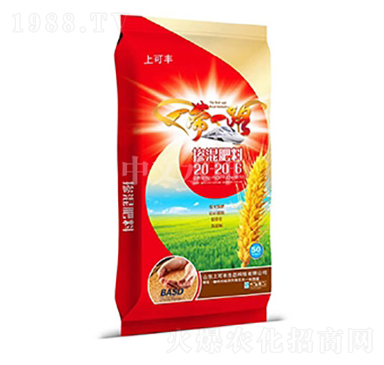 �������20-20-6-�Ͽ��S-���r����