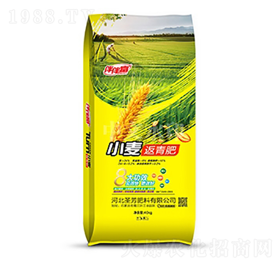 С�������-��鸻-���r(n��ng)����