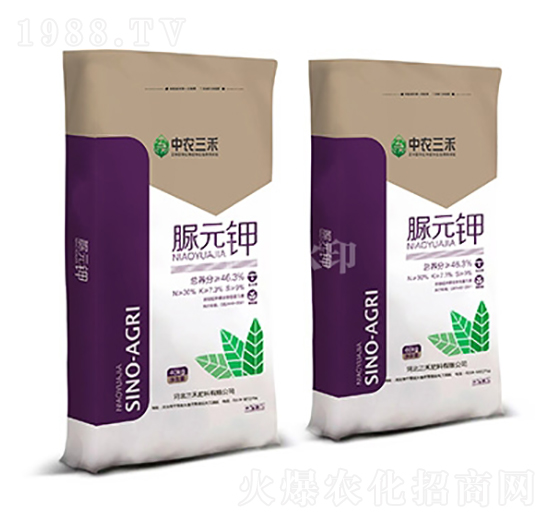 ��Ԫ�-���r����