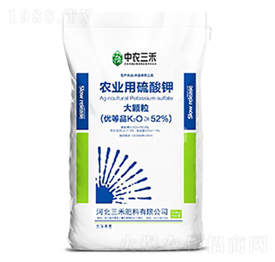 ���w���r�I(y��)�������-���r����