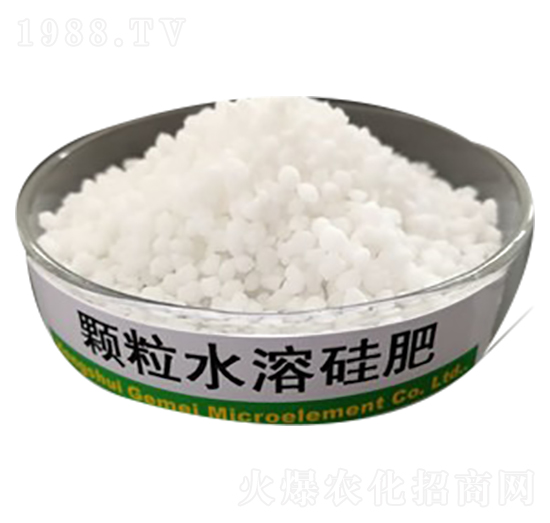 �w��ˮ�ܹ��-����