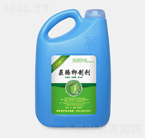 ���v���Ƅ�-���r�I(y��)