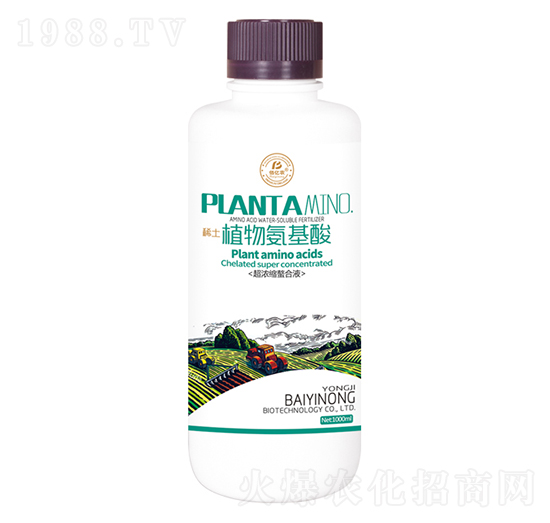 ϡ��ֲ�ﰱ����-�ۃ|�r����