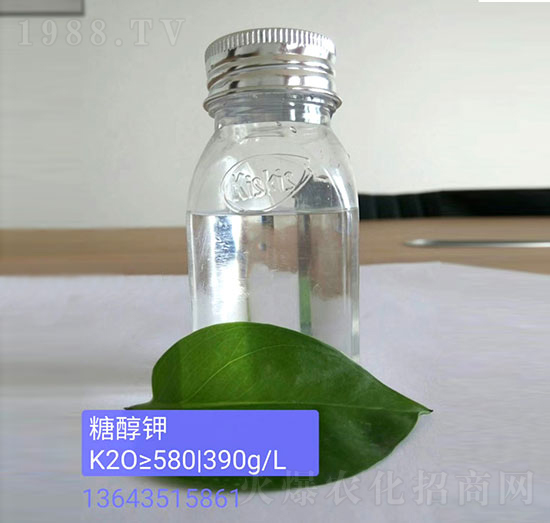 �Ǵ��-��������