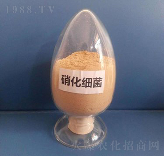 �����������ۄ���-��������