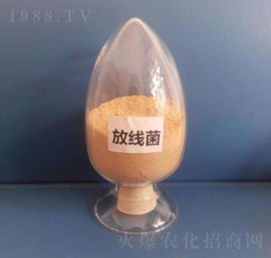 �ž�����Һ�w��-��������