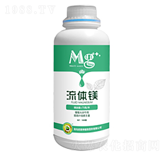 ���w�V-�W����