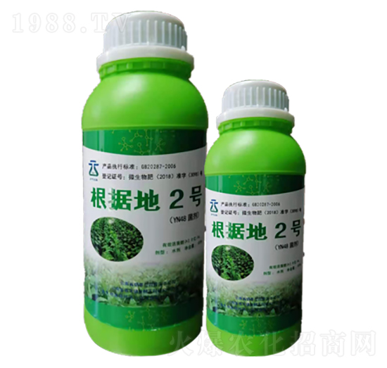 ����(j��)��2̖�����݌��ã�-���~����