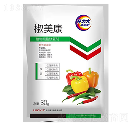 ֲ�：���ޏ̈́�-������-�����W