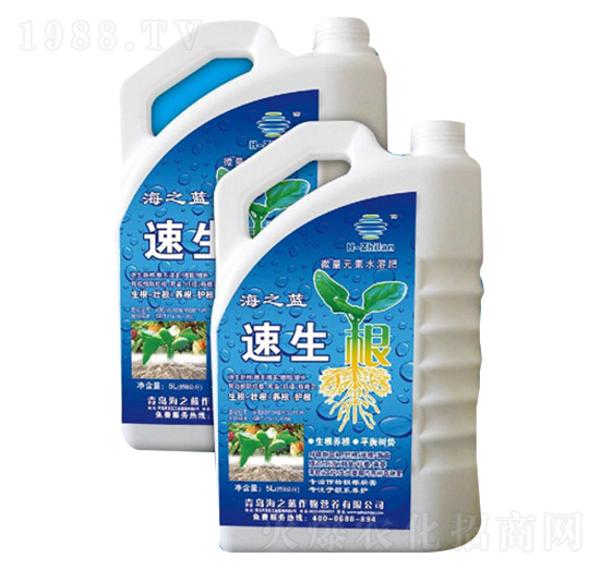 ������-��֮�{