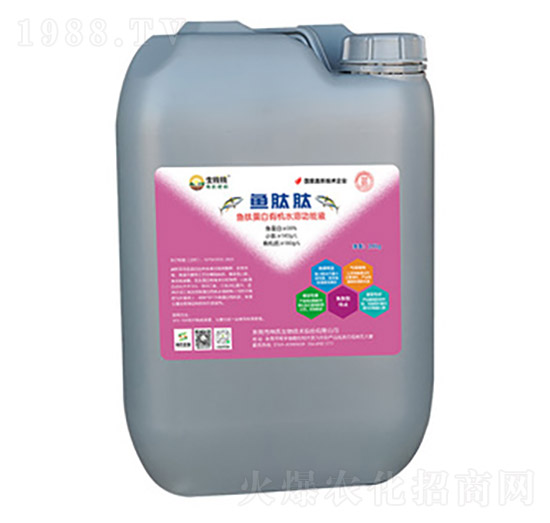 �~����-��������