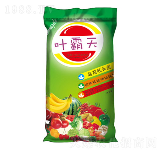 �~�����~���-�����