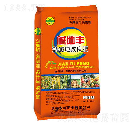 �}�A�ظ�����-�A���S-�����ʘI(y��)