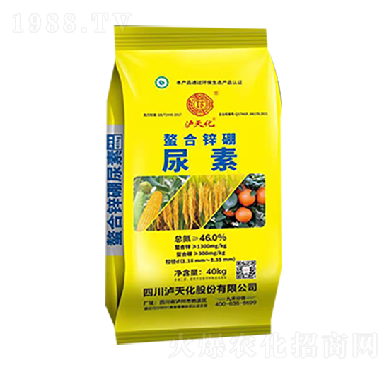 �����\������-�o�컯