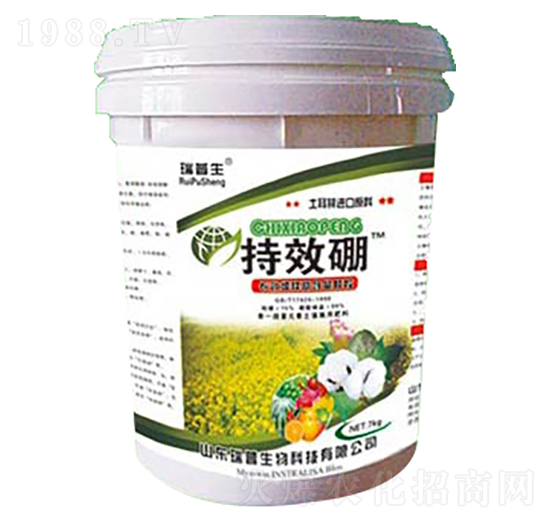 ��Ч��-��������