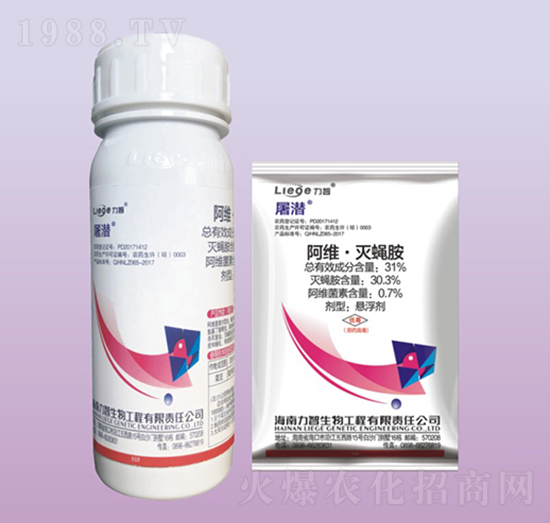 �������x(ch��ng)��-��������