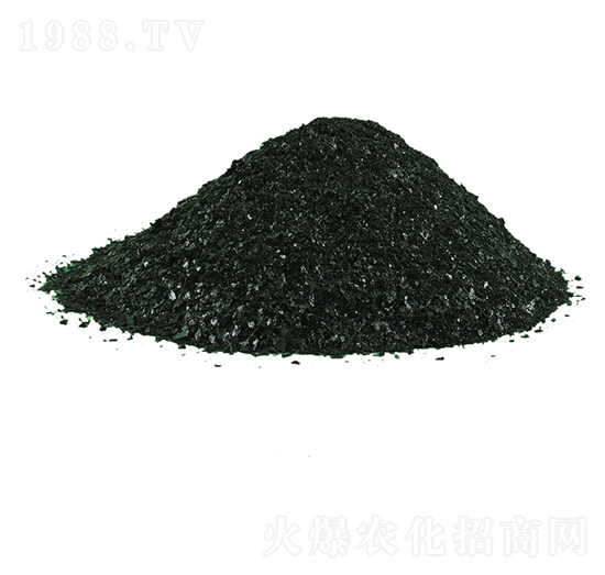 �ЙC����-�𺣵|