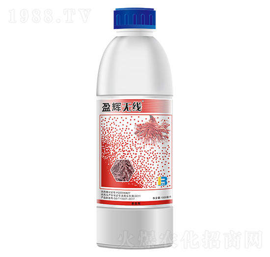 5%���S��������-ӯ�x�o��-ӯ�x
