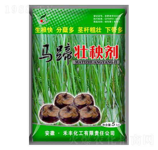 �R����턩-���S