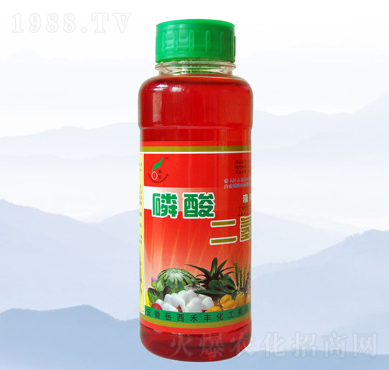 500ml��������-���S