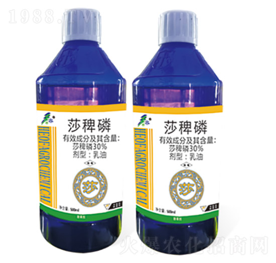 30%ɯ����-���ݡ�ɯ-����