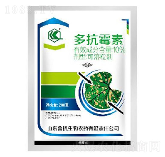 10%�࿹ù�ؿ�������-��������