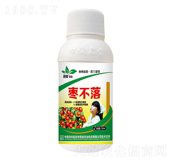 棗不落葉面肥-田俊肥業(yè)