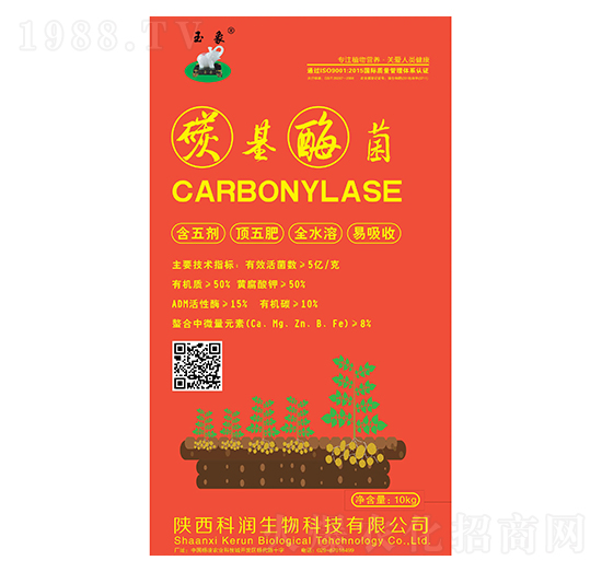 ̼��ù��-�Ɲ�(r��n)����