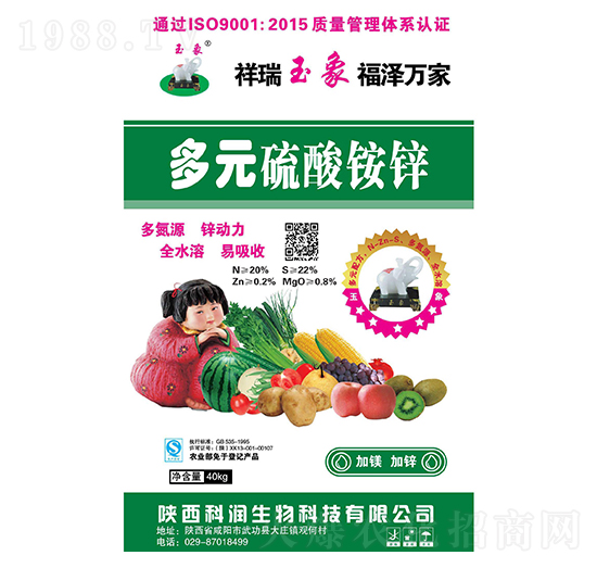 ��Ԫ�����@�\-�Ɲ�(r��n)����