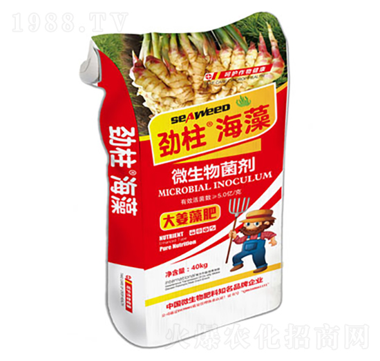 �����΢�������-����������-형r(sh��)�