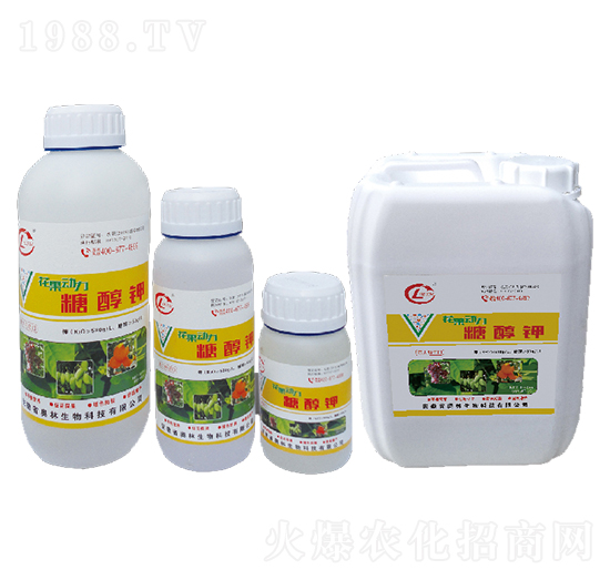 �Ǵ��-������(d��ng)��-�W������