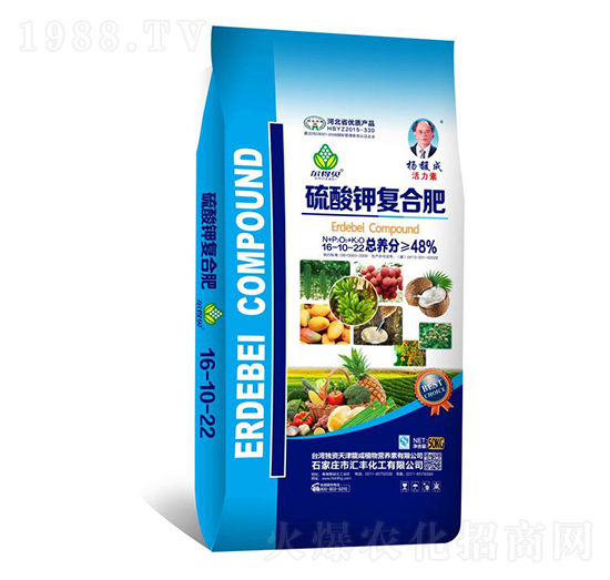 ����⛏ͺϷ���16-10-22-�R�S����