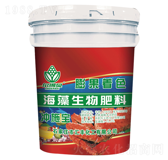 �����������-����ؐ-�R�S����