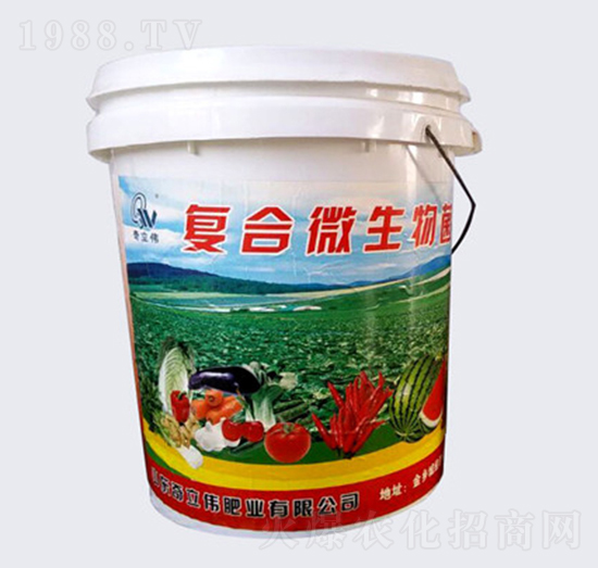 �ͺ�΢�������-������