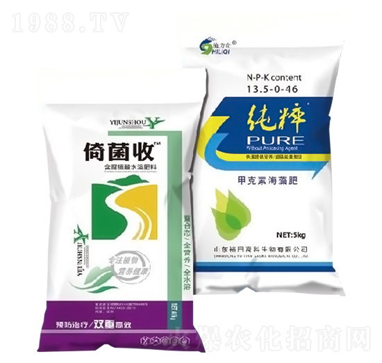 �о���+����-ԣ��߿�