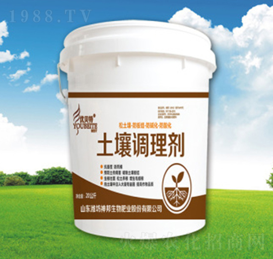 �����{�턩-�������