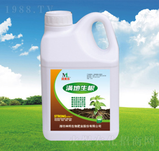 �M������Ͱ��-�������