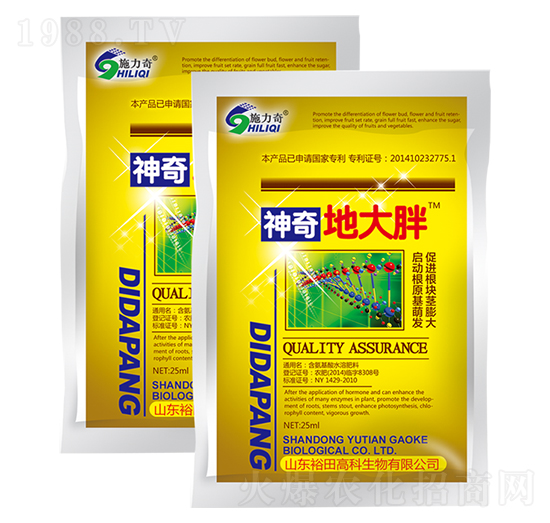 ����ش���-ʩ����-ԣ��߿�