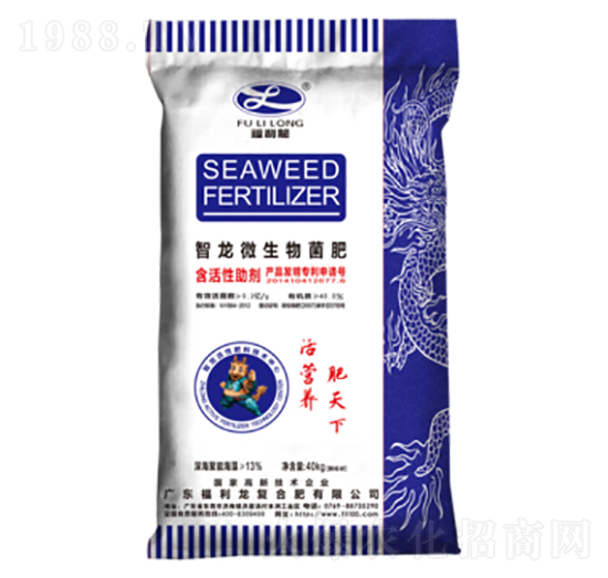 ����΢�������-������