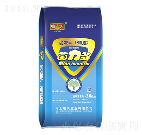 ΢�������-������-����