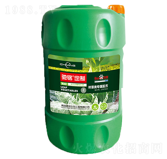 �Y㑶��Ʋ��~��÷�-�Y�����