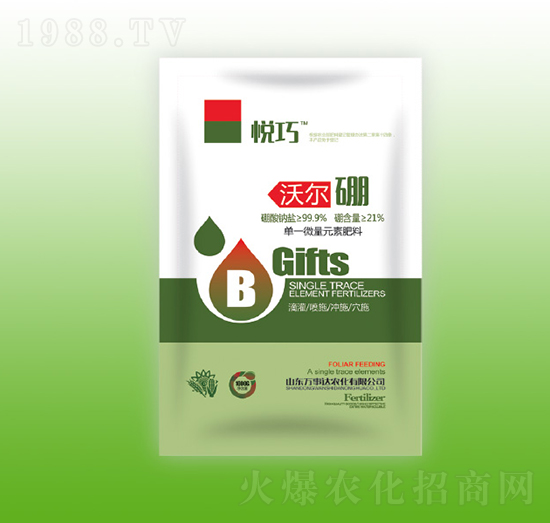 �֠���-����-�f���_