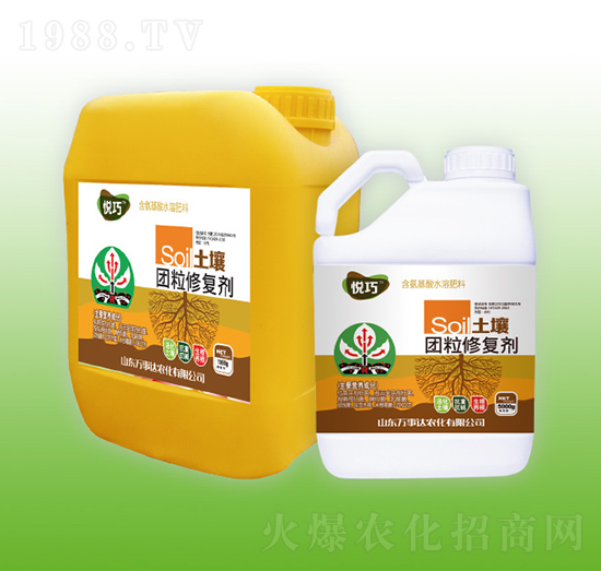 �����F(tu��n)���ޏ�(f��)��-����-�f(w��n)���_(d��)