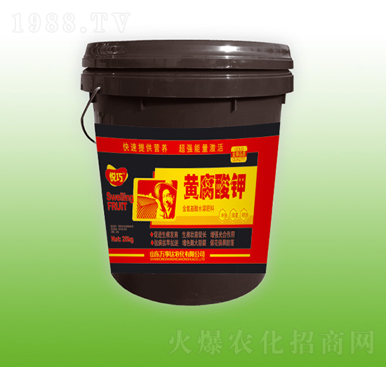 �S�����-����-�f(w��n)���_(d��)